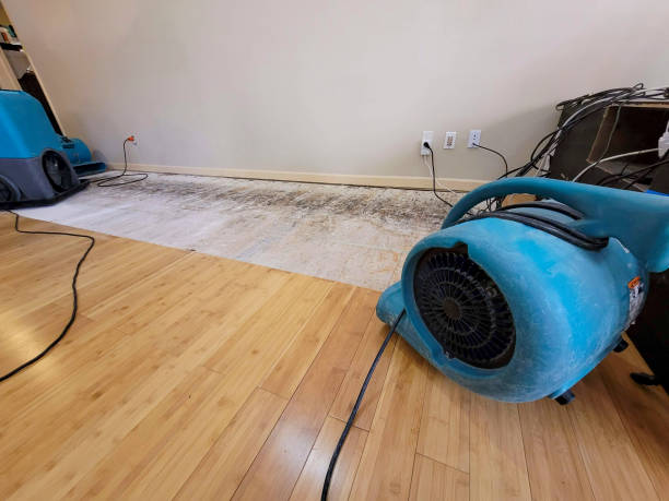 Professional Water Removal technician working in Custer, WA